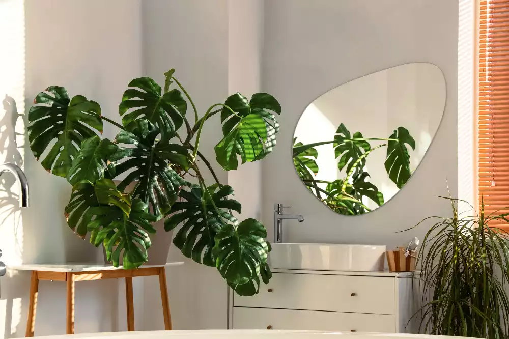 Lustro organiczne dekoracyjne ścienne